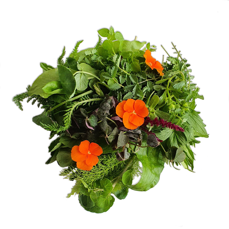 Wildkräutersalat mit essbaren Blüten